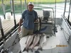 (07/06/2014) - Nice Striped Bass